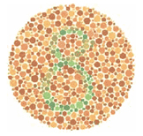 Lámina orientativa de percepción cromática B