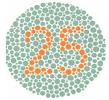 Lámina orientativa de percepción cromática C