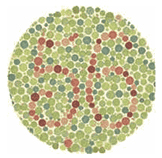 Lámina orientativa de percepción cromática D